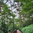 안면도자연휴양림 이미지