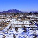 호수공원, 중앙공원 이미지