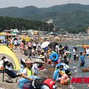 전촌솔밭해수욕장 이미지