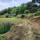 삼천리농장 이미지