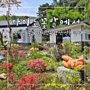 다이노 꽃밭에서 네이버블로그