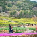 남해가봄 이미지