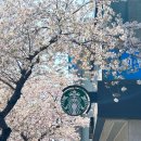 디저트 메뉴 &#34;딸기 마스카포네 샌드케이크, 바질 토마토 탕종 베이글 샌드&#34;추천 (+주차장, 가격, 칼로리)
