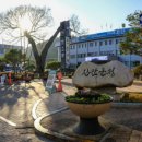 신라인삼제품