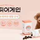 케이뷰티 서울신문
