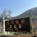 일영모자농원캠핑장 | 경기도 양주시 [일영모자농원캠핑장] 입퇴실 여유로운 캠핑장, 애들과 함께하기 좋은 캠핑장, 애견 동반