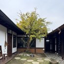 교동94-2호점 | 전주한옥마을 교동94 2호점 늘봄 감성 숙소 후기