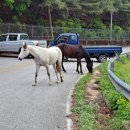 활보농장 이미지