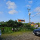 금가능이옥 이미지