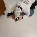 벌레잡는총각들방역