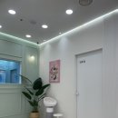 바하 고양이 병원 이미지