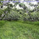 오케이농장 이미지