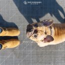 24시 고덕동물의료센터 이미지