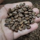 예가체프 이미지