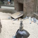 포레스트벨리캠프 이미지