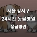 24시 강서 젠틀리동물의료센터 | [서울 강서구 24시간 동물병원(마곡동, 등촌동, 화곡동)] 반려동물 응급상황 대처 가능한 진료소