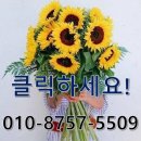 하나씨엔티 이미지