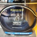 몬스터워시인계 이미지