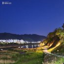501 미장원 | 적재적소 찾기 쏳의 일상 / 홍천 강변 산책로 운동하기, 토리숲🏃🏻‍♂️