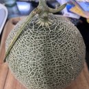 천안 수신 멜론 ‘한나네멜론’‘ <레드퀸멜론>
