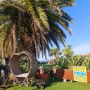 유한회사 제주의소리 | 제주도 오션뷰 펜션 편안하게 힐링했던 비스비제주 앤 팜빌리지