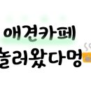 러브독애견카페 이미지