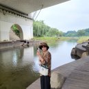 천변3호 이미지