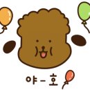 영희랑 바둑이랑 애견미용실 이미지