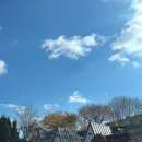 성주한우명가 이미지