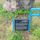 신산환해장성 이미지