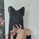 수수코스