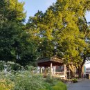 신무마을 이미지