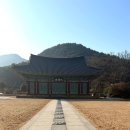 정현자동차 | 전라남도 고흥 가볼 만한 곳 추천!!//능가사//녹차밭과 고목들이 아름다워요~.