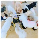 몽이네일 이미지
