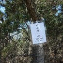 비봉산농장 이미지