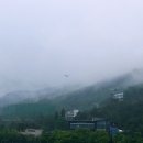 오늘 나와 같은 저녁메뉴를 정하신 어떤 어저씨 ㅎㅎ 이미지