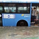 댄스스포츠.리듬짝 이미지