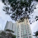 역골동로 이미지