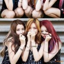 비너스헤어 이미지