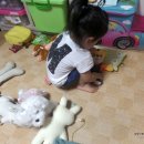 다인동물병원 네이버블로그