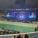 수서역나이스가이 | 2024 펩시 페스타 펩시 콘서트 후기