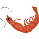 사계절왕새우 이미지