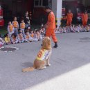 아이마루어린이집 이미지