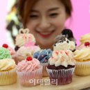 지지스 이데일리