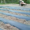 새마을농장 이미지