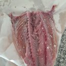 킹피쉬