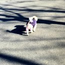 영등포공원 이미지