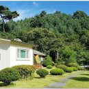 석장골여행 이미지