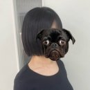 굿모닝헤어샵 | 대전 둔산동 미용실 [에이노이헤어 2호점] 민서디자니어쌤께 단발컷+매직펌 받고 왔음!