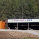 지동목장 이미지